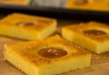 kolac od svezeg sira i marelica