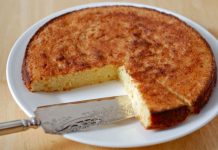torta sa suvim kajsijama